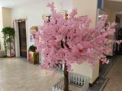 -贝安心月子中心(昌平店)
