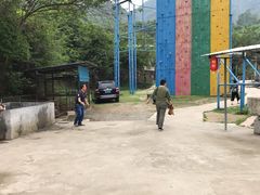 捞鱼，抓鸡-老虎沟生态农场