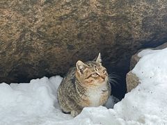 -崂山九水游览区