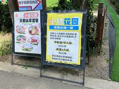 -前小桔亲子创意农场·草莓采摘·露营烧烤