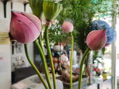 -FEI FEI FLOWER鲜花店·气球派对·宝宝宴布置(虹口德必运动Loft店)