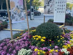 -凯德广场(武胜路店)