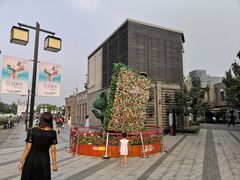-龙湖星悦荟(颐和店)