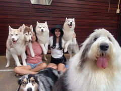 -TrueLove @ Neverland (Husky Cafe)