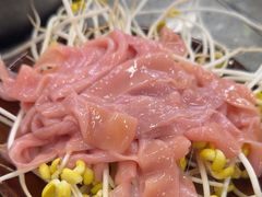 -华丰火锅(双林北横路店)