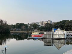 -新江湾城公园