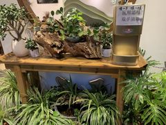 -茶油香闽南菜·花园餐厅(前埔店)