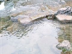 -重庆彩云湖湿地公园