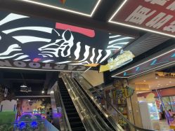 -卡通尼·Safari非洲探索乐园·生日会(金桥国际商业广场店)