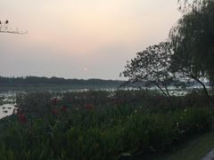 -太阳岛度假酒店