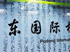 -浦东1号2号航站楼(地铁站)