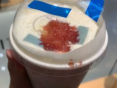 多肉芒芒甘露-喜茶(深圳东门1234店)