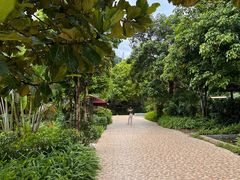 -四会奇石河风景区