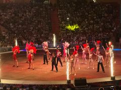 -俄罗斯国家大马戏团