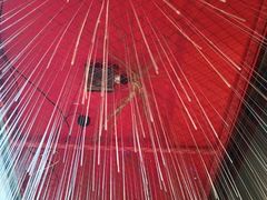 -橦橦小马扎烧烤 (传媒大学店)