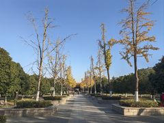 -明故宫遗址公园