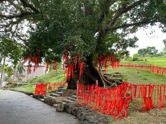 -蔡家宅