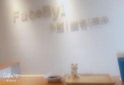 -FACE·日本小颜矫正美容整骨サロン