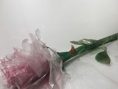 -COMME des GARCONS(银座三越店)