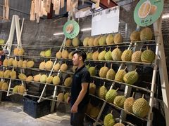 -都念榴莲·城市榴莲