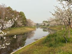 -上海海湾国家森林公园