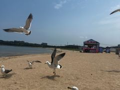 -海驴岛(荣成市)