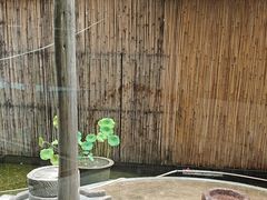 -忆江南·临江鱼馆