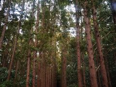 -同里国家湿地公园