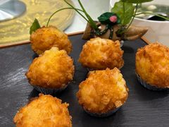 -丁老爷子苏香圆