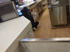 -CoCo都可(新我格广场店)