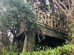 -东部华侨城