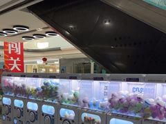 -万达广场(东营西城店)