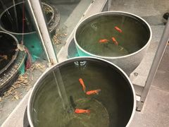 -纳地素食(石门公园店)