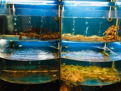 -潮人姐妹轩(海宁路店)