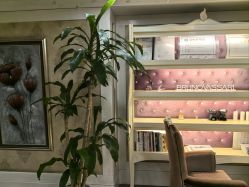 -东方美美容SPA会所