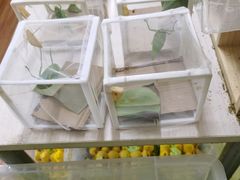-三旗百汇商品城
