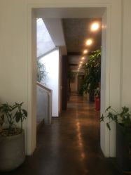 -罗亚帝·NASHOW纳秀形象设计