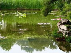 -国家植物园南园