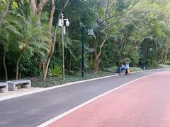 -南宁南湖公园