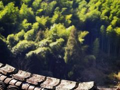-林坑古村落