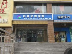 -瑞派名望志远动物医院·猫科·內科·异宠专科(直港大道店)