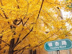 -辽宁大学(崇山校区)