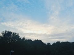 -上海市保健医疗中心