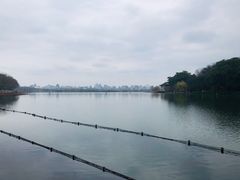 -南方迷宗大包(湖滨店)