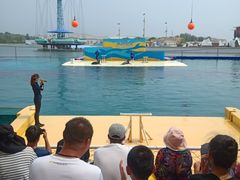 -秦皇岛乐岛海洋王国