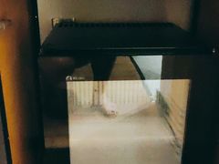 -深圳阿普萨拉斯酒店