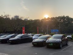 -TESLA 特斯拉(深圳坂田特斯拉中心)