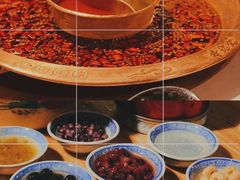 -新哥老官·畅吃123·美蛙世界(苏宁广场店)