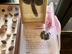 -云溪植物园