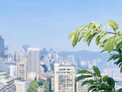 -重庆市江北嘴中央商务区中央公园